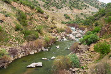 Fototapeta na wymiar River Dez near Bisheh village. Iran