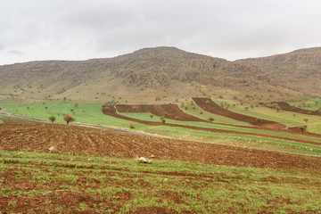 Fototapeta na wymiar Nature landscape in Lorestan Province. Iran