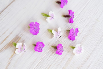 Obraz na płótnie Canvas Chamaenerion flowers on white wooden background