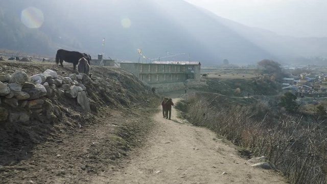 Local farmers carry heavy wicker baskets on the heads in Nepal. Manaslu area.