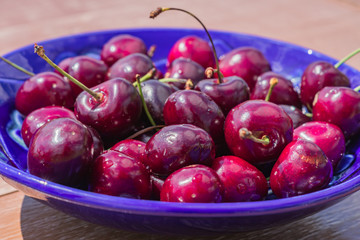 blue plate of ripe sweet cherry on  wooden table