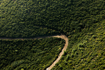 Forest and path top view landscape.