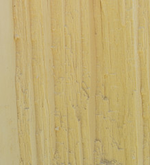 Wood texture. Abstract background
