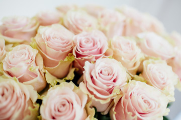 Bouquet of roses in a vase.
