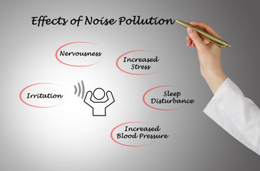 Effects of Noise Pollution