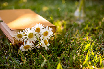 Book and daisies. Book on a meadow with daisies. Summer reading. Hobbies on vacation. Reading books with pleasure on the journey. floral summer meadow and favorite book
