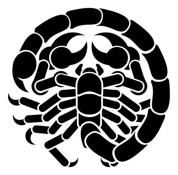 recommend clip art: Scorpio Scorpion Zodiac Horoscope Sign