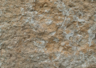 natural stone slab texture lime rock