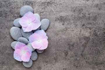 Obraz na płótnie Canvas Spa flowers and massage stone, on grey background.