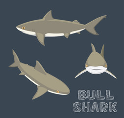 Obraz premium Bull Shark Cartoon Vector Illustration