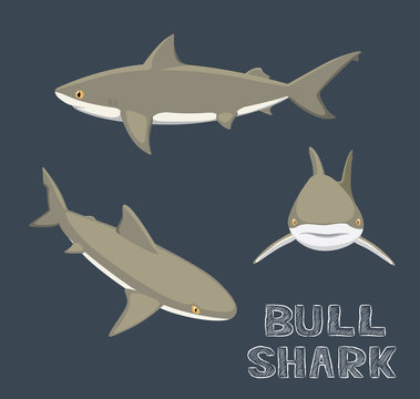 Bull Shark Cartoon Vector Illustration
