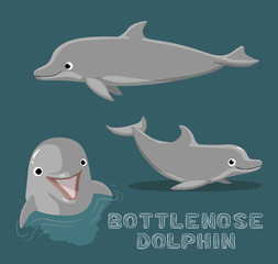 Bottle Nose Dolphin Cartoon Vector Illustration