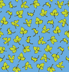 Parsley. Vector background