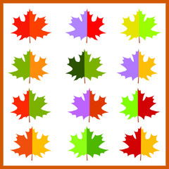 Autumn set maple leaves, flat style cartoon