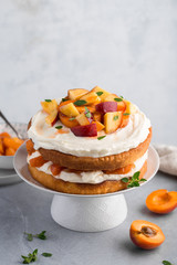 Summer cake with apricots and whipped cream frosting on light concrete background, copy space