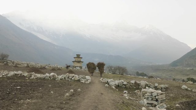 Local farmers carry heavy haystacks on the heads in Nepal. Manaslu area.