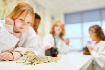 Kinder erforschen Leguan und andere Tiere