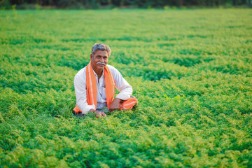 Indian farmer at the chickpea field