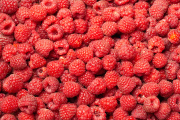 Ripe and Fresh Raspberries as a Background.