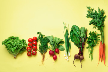 Organic vegetables on yellow background with copy space. Top view of carrot, beet, pepper, radish,...