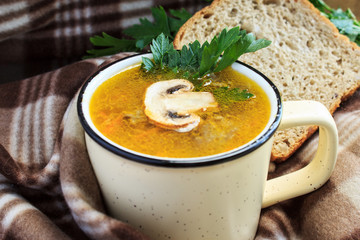 Mushroom soup. Soup from forest mushrooms.