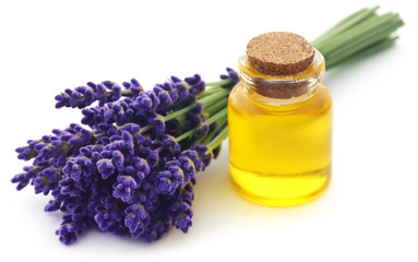 Lavender oil with flower