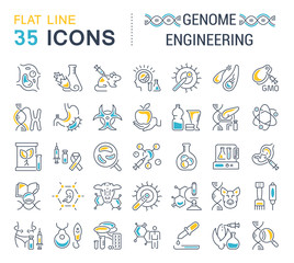 Set Vector Line Icons of Genome Engineering.