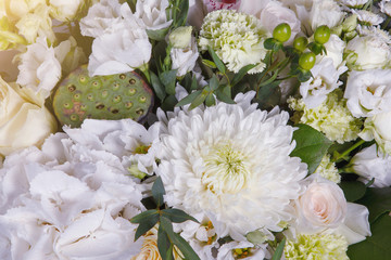 Beautiful flowers as background