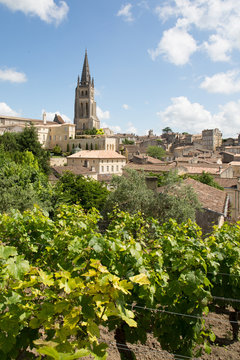 Vineyard landscape Saint Emilion near Bordeaux in France UNESCO World Heritage site