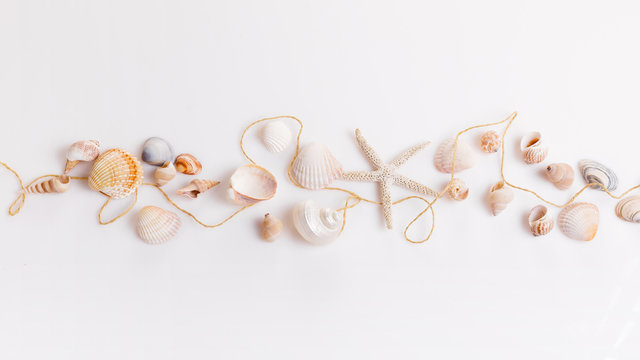 Romantic composition of exotic seashells, oyster, starfish on white background. Tropical summer vacation or Birthday, Wedding Day concept. Flat lay, top view. Marine design.