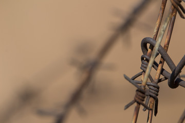 Barbed wire tangled