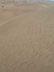 Oman Desert