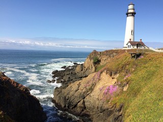 Fototapeta na wymiar Pigeon point lighthouse at pacific ocean