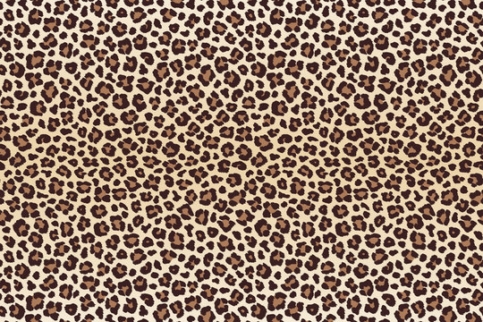 Leopard spots fur imitation, horizontal texture. Vector