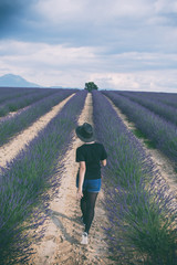 danser au milieu des lavandes