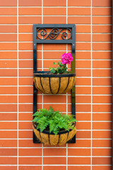 Obraz premium Iron wrought wall hanging plants planter/basket set.