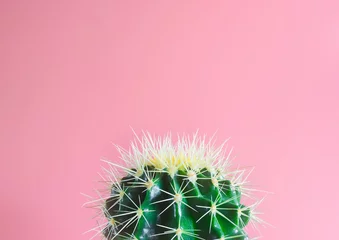Papier Peint photo Lavable Cactus partie d& 39 un cactus vert avec des pointes, sur fond rose