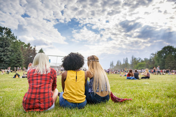 Group of friends at summer music festival sitting on grass