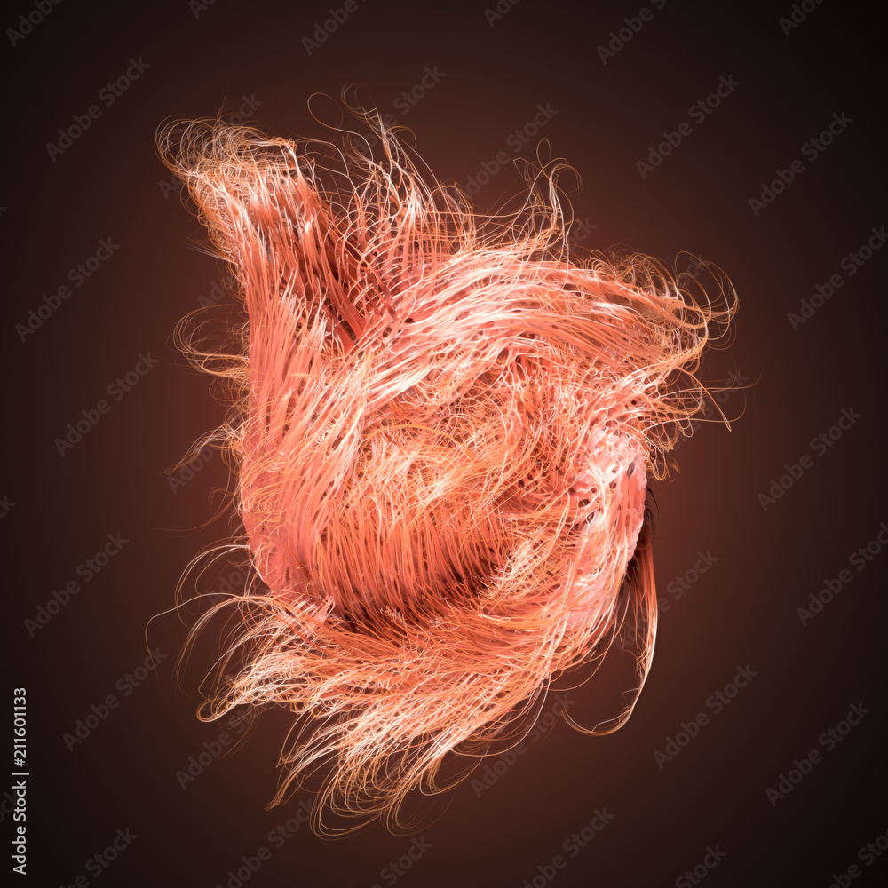 Poster Curl noise flow abstract orange colored lines. 3d rendering