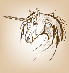 Unicorn sketch icon. Vector magic or mystic fairy horse horn and waving mane. Wild fantastic unicorn stallion symbol for equine sport or equestrian races contest exhibition © Dzmitry Sukhavarau