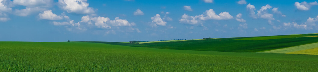 panorama beautiful view landscape field