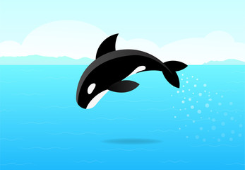 Obraz premium Killer whale jumping on sea, flat vector art