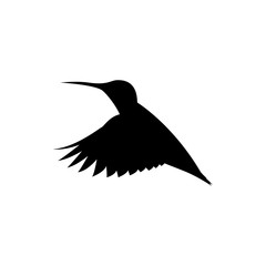 Obraz premium vector hummingbird silhouette