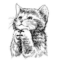 lovely kitten hand drawn vector