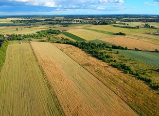 Obraz premium Yellow and green fields of grain and meadow landscape, aerial view