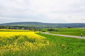 Fototapeta premium Wahlenau und Hirschfeld am Idarwald im Hunsrück 