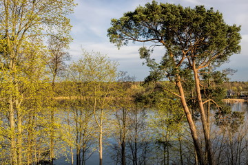 Seeidylle im Frühling