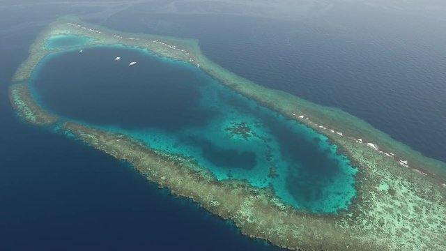Stunning aerial view of coral reef, atoll - Shaab Rumi, Red Sea, Sudan