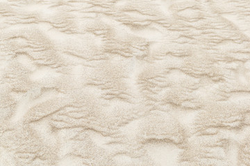 Fototapeta na wymiar Sand texture on the Baltic beach. Palanga.