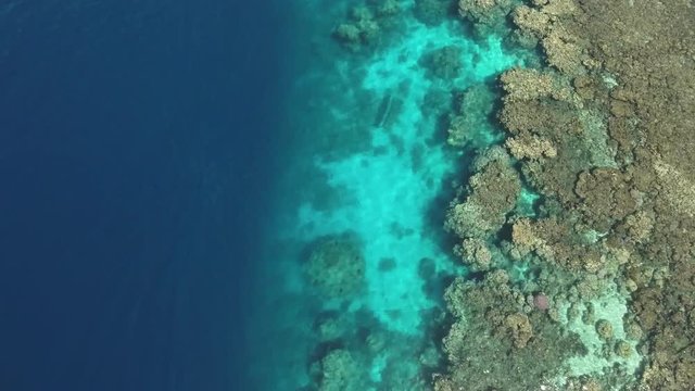 Aerial view of coral reef - Shaab Rumi, Precontinent, Sudan